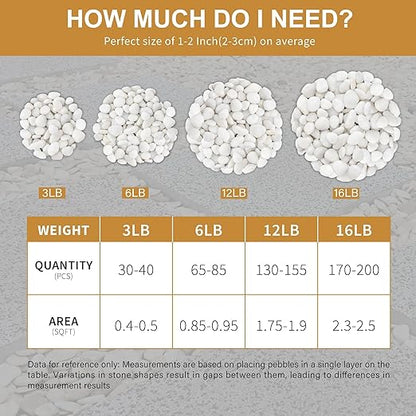 NUPICK 6lb White River Rocks for Plants Indoor, 1-2Inch Pebbles for Vases Fillers, Decorative Gravel for Fish Tank, Natural Polished Stones for Succulent, Bonsai, Landscaping, Bird Baths