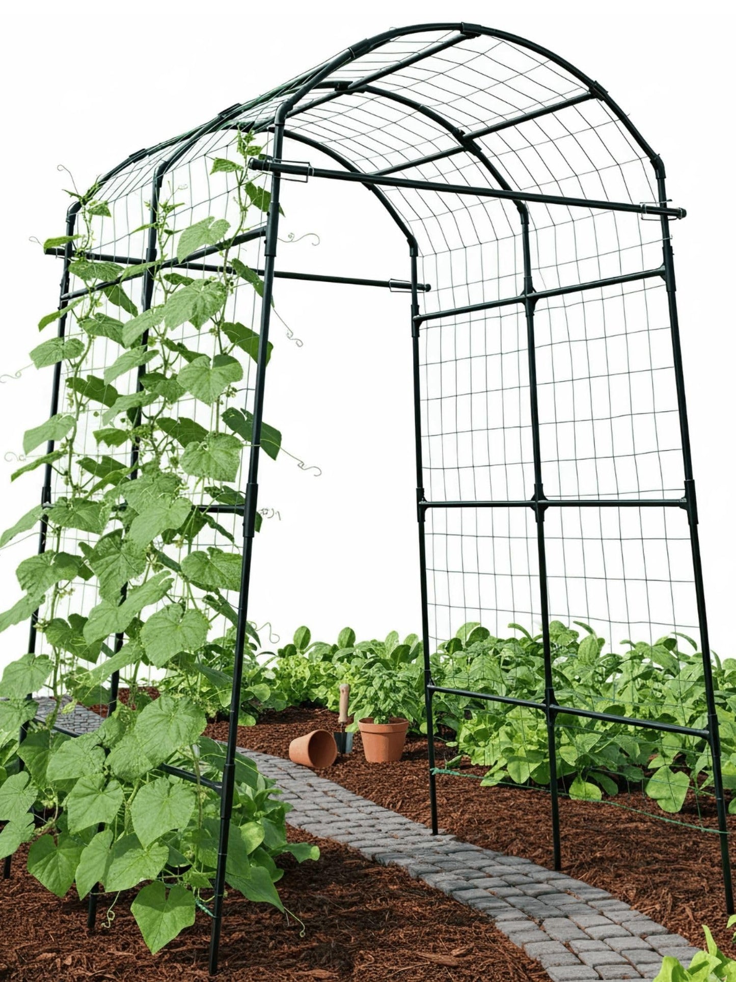 BAXAM Garden Trellis Arch 7FT PP-Coated Stainless Steel Metal Extra Tall Cucumber Trellis Arch Garden Arch Trellis for Climbing Plants Outdoor Vegetable Trellis with Trellis Netting
