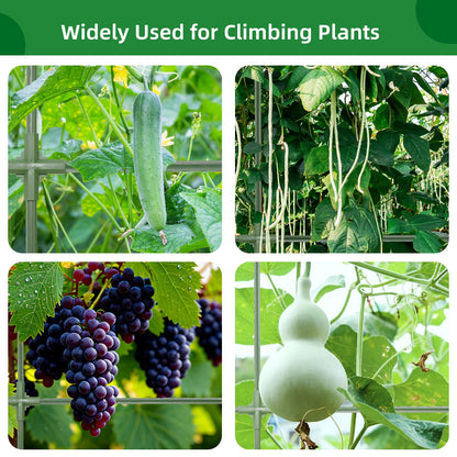 65"×50" Cucumber Trellis for Raised Bed,Tall Metal Arch Garden Trellis for Climbing Plants Outdoor,Vegetables,Plant Support Peas,Fruit,Flower,Grape,Tomato, Bean