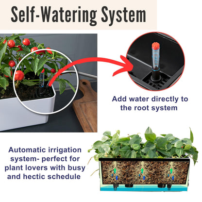 LaLaGreen Bundle- 2 Pack, 16 Inch Rectangular Self Watering Planter + 2 Pack, 16 Inch Hanging Metal Wire Basket with Coco Liner Modern Wall Flower Plant Herb Holder Porch Balcony Windowsill Box Indoor