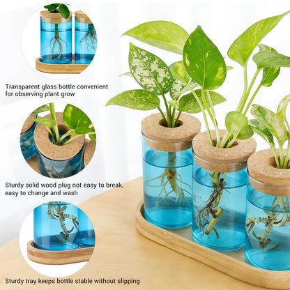 Dahey Blue Plant Propagation Terrarium Desktop Glass Planter Station Water Planting Glass Vase with Lid and Wooden Stand for Propagating Hydroponic Plants Centerpiece Office Home Garden Decor, 3 Pcs