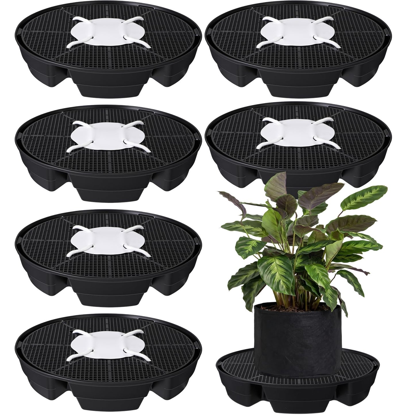 Geelin 6 Pcs Self-Watering Fabric Pot Base Auto-Irrigation System Plant Saucer for 5 Gallon Fabric Pots Auto Watering Plant Water Tray Self Watering System for Indoor Greenhouses Grow Tents Gardens