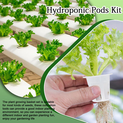 vibedor 62 PCS Hydroponic Seed Growing System Hydroponic Growing Kit, 30 Hydroponics Plant Baskets and 30 Grow Sponges Pods, 2 Tweezers for Ourdoor Use and Garden Indoor