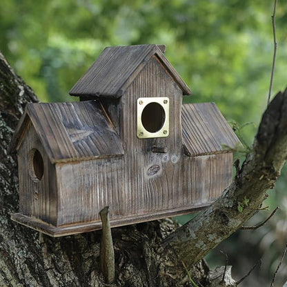 6-piece Metal Bluebird House Predator Guard，Metal Birdhouse Guard，Bird House Hole Protector Guard for Eastern Bluebird Box （3.81 cm Opening）