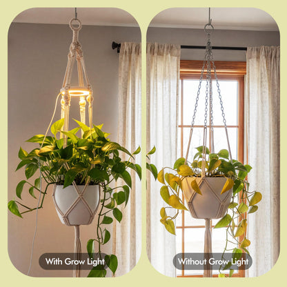 Lazukes 2 Pack Hanging Plant Grow Lights for Indoor Plants with Timer, Wall Mounted Full Spectrum Pendant Growing Light with Macrame Plant Hanger, Ceiling LED Planta Luz for Potted Plants Home Decor