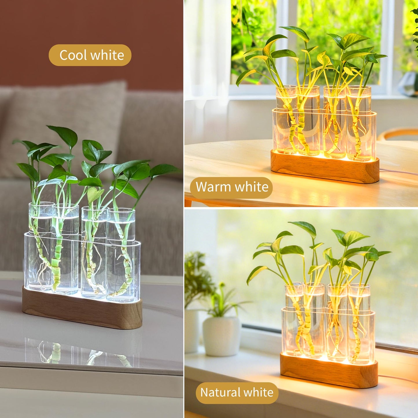 Plant Propagation Station with LED Lights, Wooden Stand, 4 Glass Test Tubes for Hydroponic Plants, 3 Lighting Modes 9 Brightness, Plant Lovers