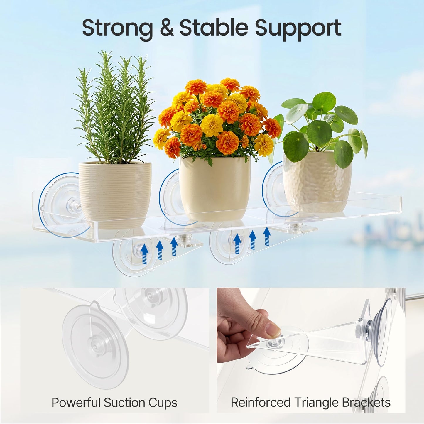 Leafory 2 Pack Window Plant Shelves, 15.7 x 5.9 Inch Heavy Duty Acrylic Floating Shelf, Strong Suction Cup Shelf with Support Bracket, Windowsill Holder for Succulents and Indoor Plants