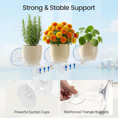 Leafory 2 Pack Window Plant Shelves, 15.7 x 5.9 Inch Heavy Duty Acrylic Floating Shelf, Strong Suction Cup Shelf with Support Bracket, Windowsill Holder for Succulents and Indoor Plants