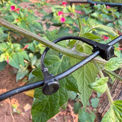 300PCS Raspberry Trellis Clips - Grape Trellis for Grape Vines Support Kiwi Stem Tomato Climbing Plants Vine Clips Grape Ties Garden Plant Support Clips Holder Fruit Buckles Hooks Training Grow Ties