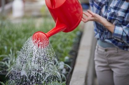 Consolidated Plastics Durable Swiss Watering Can with UV Protection, Ergonomic Handle for Indoor/Outdoor Gardening, Made in Switzerland (7 Liter, Red)