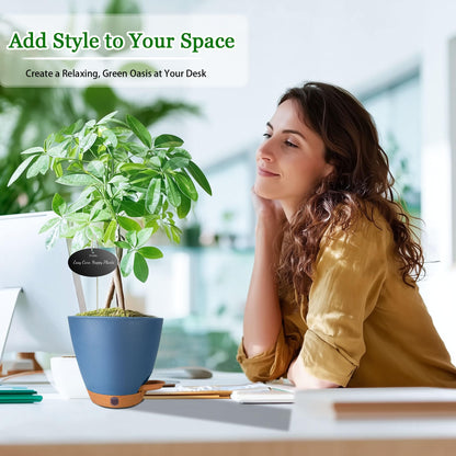 6 Inch Self Watering Pots for Indoor Plants(5-Pack) – Small Plastic Planters with Water Level Window, Drainage Holes & Detachable Trays, Indoor Outdoor Flower Pots for Herbs, Snake,Pothos(Navy Blue)