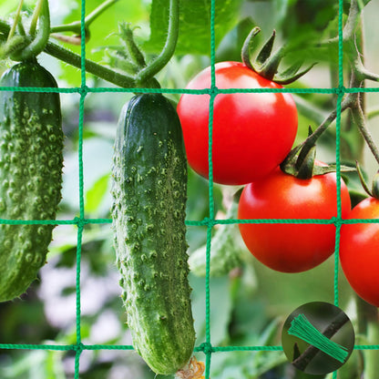 Unves Garden Trellis for Climbing Plants, 16.4 x 6.6 Ft Garden Trellis Heavy Duty Plant Net for Cucumber, Tomato, 27 Strands & 4x4 Inch Netting for Vegetables, Grapes, Bean