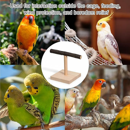 Bird Perch Stand Bird Training Stand Portable Tabletop Parrot Stands Natural Wood Parakeet Perches for Parakeets Cockatiels Conures Macaws Finches Lovebirds