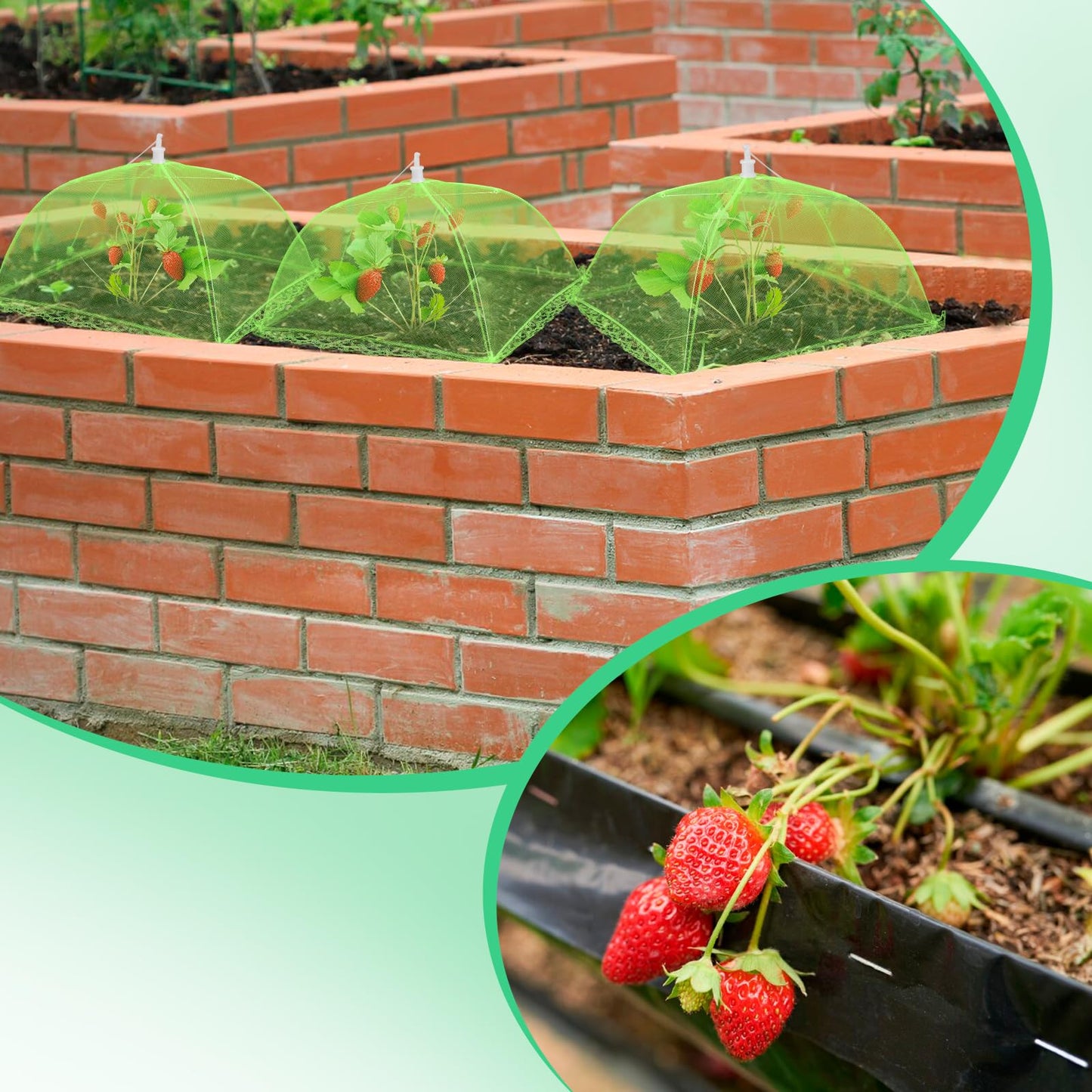 NODMIPNS 4 Sets Strawberry Plant Support with Mesh Cover - Square Gardening Frame, Animal Barrier, Iron Stakes & Storage Bag for Healthy Strawberries, Tomatoes, Veggies (Green) (4 pcs)