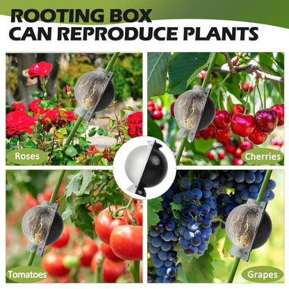 NVAAV Tree Root Growing Box, Air Layering Pods Propagation Kit, Reusable Half Transparent Plants Asexual Reproduction Grafting Ball for Fast Propagation Plants (12pcs Meidum)