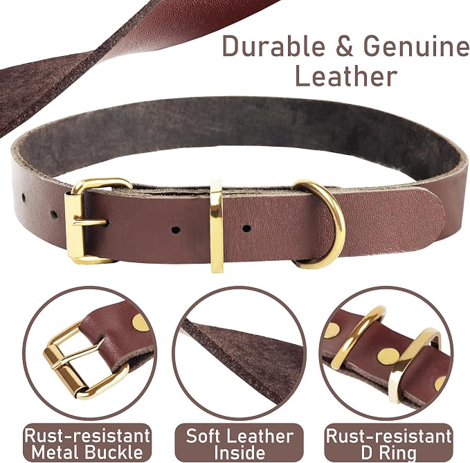 Heavy Duty Genuine Leather Dog Collar and Leash Set - 5ft Soft and Durable With Metal Buckle - Adjustable, Compatible for Small to Medium Dogs
