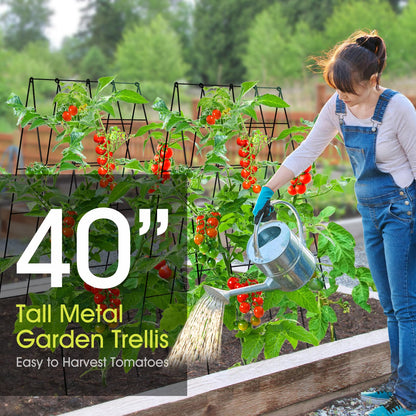 Cucumber Trellis for Raised Bed, Rifny 16.5 x 40 Inch Metal Trellis for Climbing Plants Outdoor with Plant Clips Twist Ties, Garden Plant A-Frame Trellis for Vegetable Pea Tomato (Black, 2 PCS)