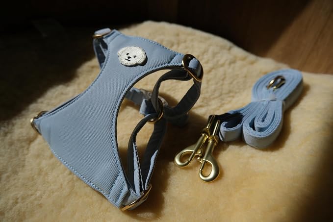 AetruffyPet 100% Cotton Dog Harness and Leash Set – Soft Breathable Vest for Small Dogs, Adjustable No-Choke Design, Lightweight Walking Set (XS/S/M) (Blue, M)