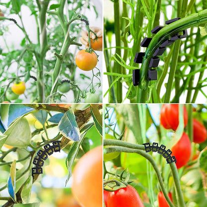 Odowalker 150 Pcs Low Stress Training Clips, 90 Degree Plant Clips Branches Clips Control The Growth of Plants Branches Clamps for Low Stress Planting Clip Climbing Plants Garden Plant Grow Tools