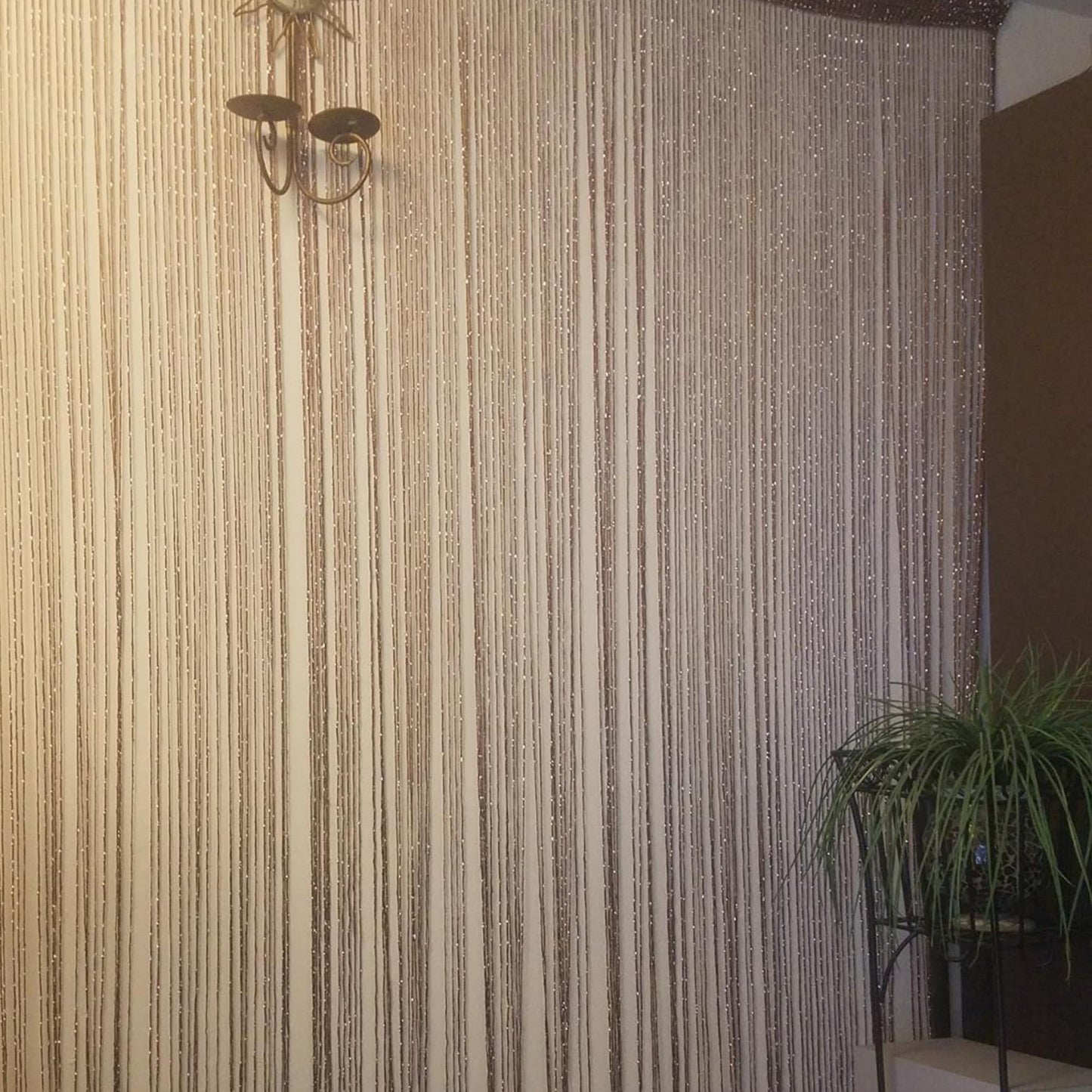 Vagasi 2 Pack 39 x 79 Inch String Curtains for Doorways Room Divider Curtains Hippie Room Decor Hanging Beaded Curtains for Bedroom Closet Door, Champagne