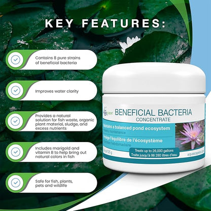 Aquascape Beneficial Bacteria Concentrate for Pond and Water Features, 1.1-Pound, 98949