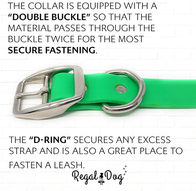 Regal Dog Products Small Light Green Waterproof Dog Collar and Leash Set | Heavy Duty Double Buckle & D Ring - 5'ft Leash | Adjustable Biothane Dog Collar | Chew Resistant Waterproof Collar for Dogs