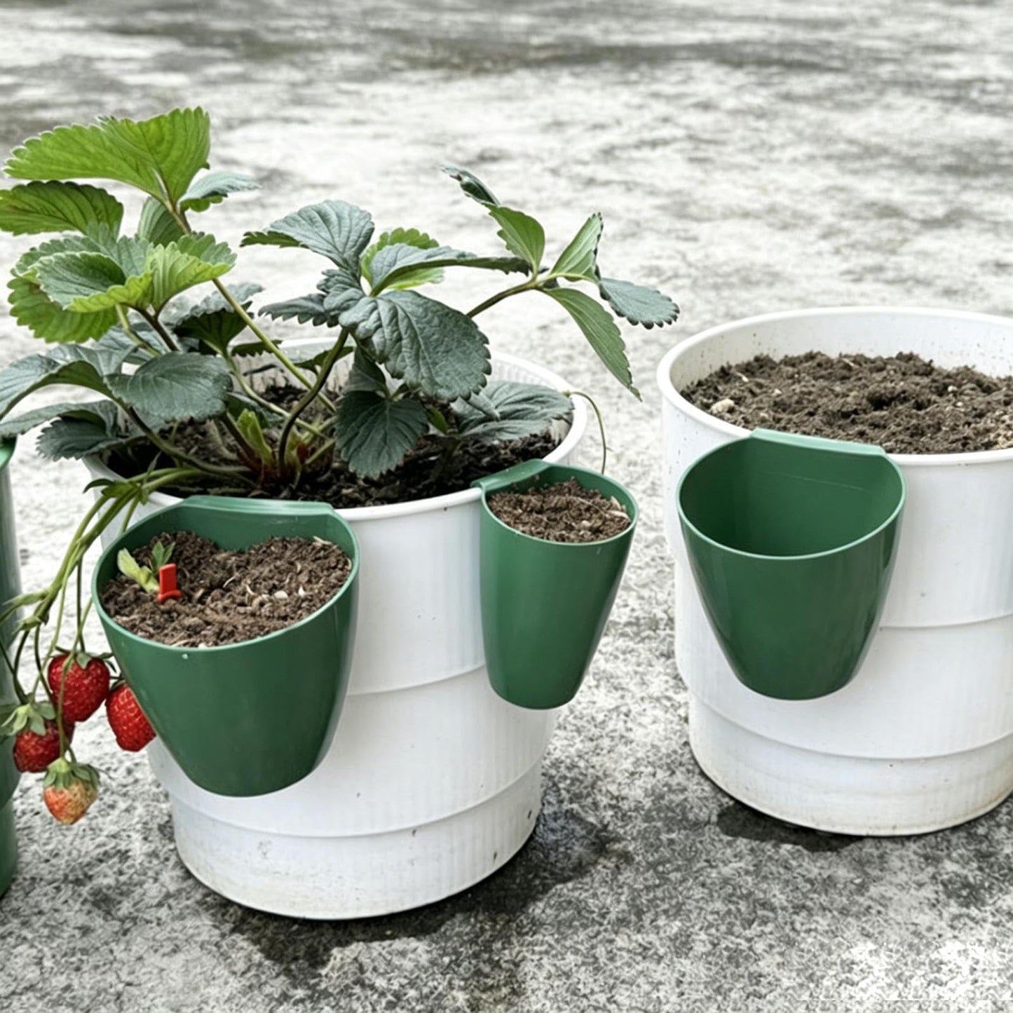 Nursery Pots for Plants, Strawberry Propagation Planter 20 Pieces Yard Seedling Cups Runner Forks for Indoor Outdoor Garden Balcony Greenhouse Backyard Windowsill