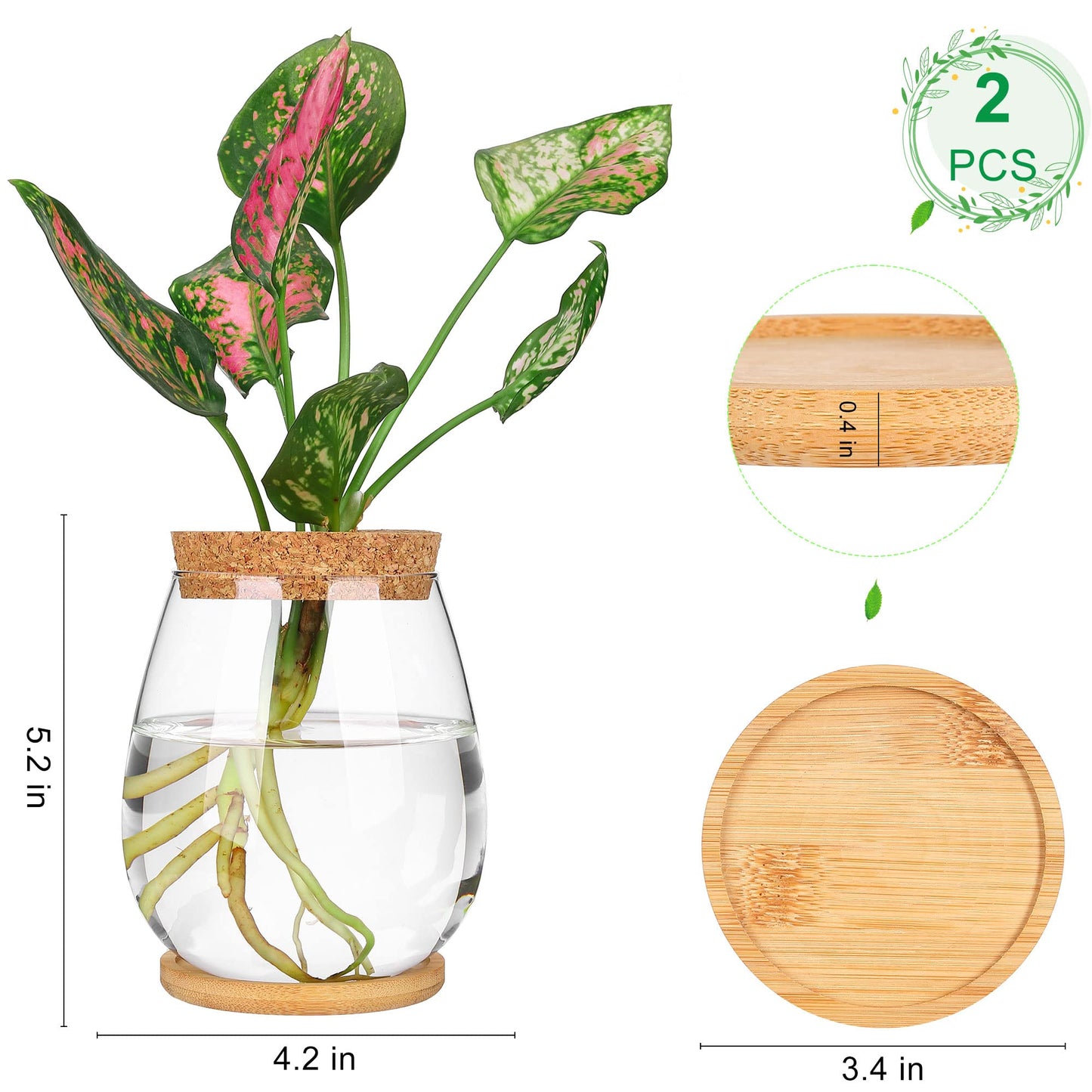 onepeng 2 Pcs Propagation Vases, Tabletop Plant Terrarium for Propagating Hydroponic, Glass Terrarium Vase Jars, Home Kitchen Decorations and Gifts for Plant Lovers