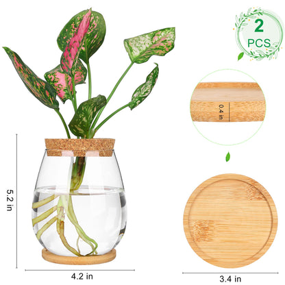 onepeng 2 Pcs Propagation Vases, Tabletop Plant Terrarium for Propagating Hydroponic, Glass Terrarium Vase Jars, Home Kitchen Decorations and Gifts for Plant Lovers