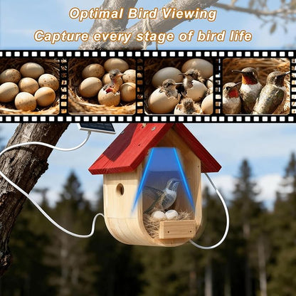 Hummingbird House with Camera Solar Powered, HD Full Color Night Vision Bird Camera, 2.4G WiFi & App Notify, Watch Bird Nesting & Hatching in Real Time, Ideal Gift for Bird Lovers