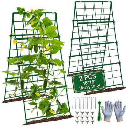 Heavy Duty Cucumber Trellis Thickened for Raised Garden Bed,48"x16" Foldable Frame Metal Vegetable Trellis for Climbing Plants Outdoor Plant Support for Grape Tomato Peas, Fruit, Vine,Bean(1 Pack)