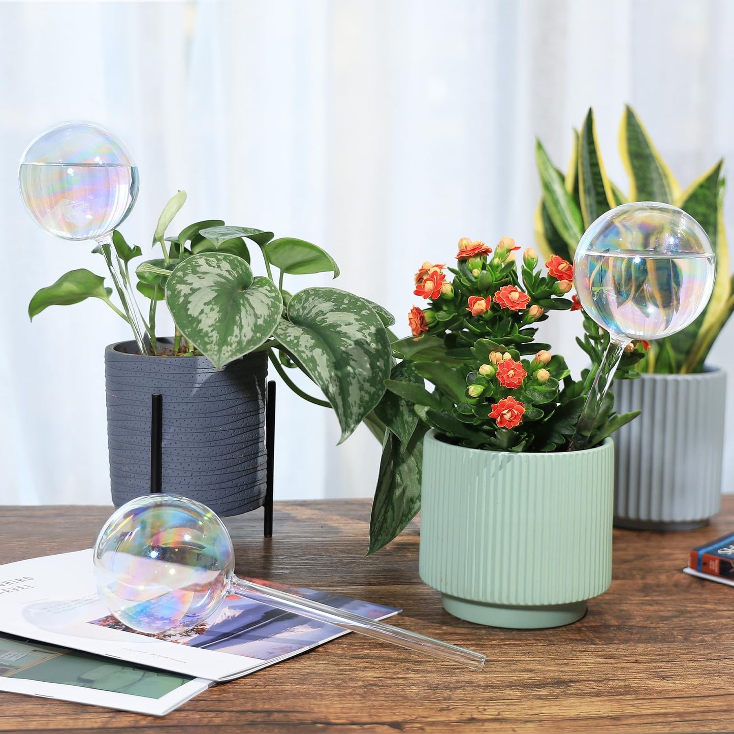 Soilagua 13 oz Up to 2 Weeks Extra Large Plant Self Watering Globes, Light Iridescent Glass Water Bulb Indoor, Plant Waterer Self-Watering Stakes, Perfect Gardening Gifts, 4 Pack