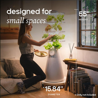 Lettuce Grow Farmstand Nook 4ft.7” Vertical Hydroponic Garden Tower - Self-Watering, Vertical Hydroponic Tower with LED Grow Lights, 20 Live Seedlings, Smart Timer - Indoor Vertical Growing Tower