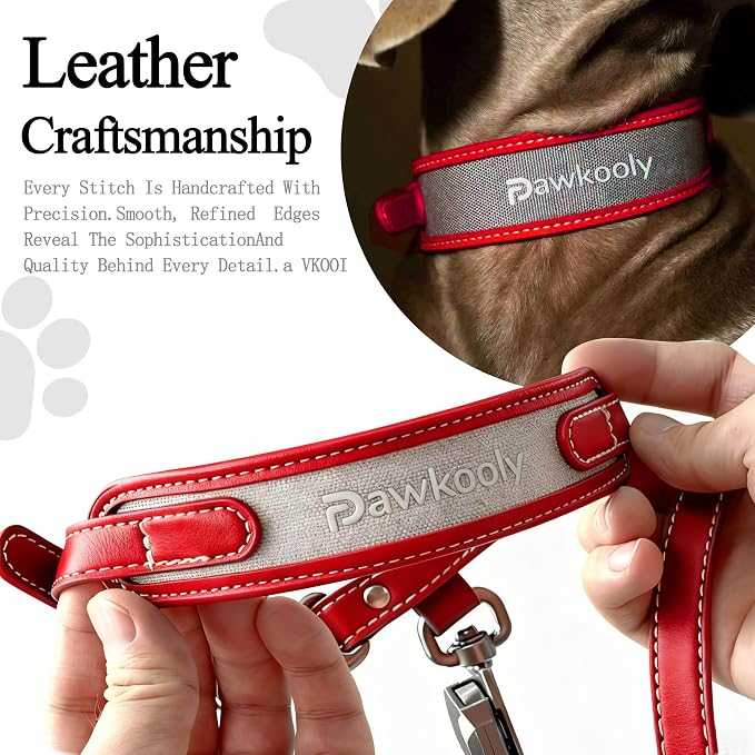 MagEase Dog Collar with 4FT Leash | Adjustable | Anti-Wrinkle, Bite & Stain-Resistant Leather | Soft & Skin-Friendly | 450LB Escape-Proof Magnetic Buckle (Red, Large)