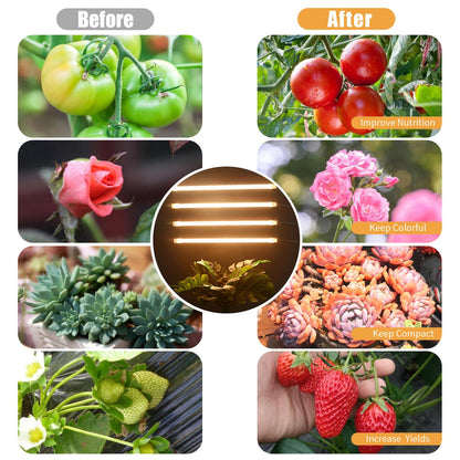RWNTAO LED Plant Grow Lamp, 3500K Full Spectrum Growing Light Strips for Indoor Small Plants with 3/9/12H Timer & 10 Dimmable Levels, LED Growth Light for Green House Hydroponics Succulent 2 Pack