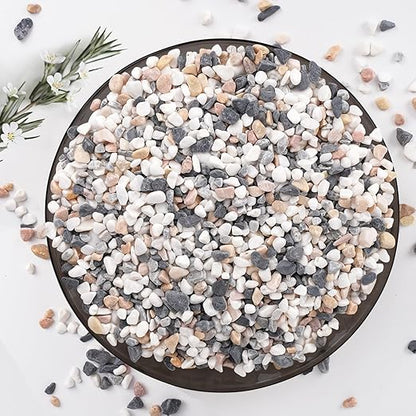 Pulovin 5 lbs Small Rocks for Plants, 1/5 Inch Pebbles for Indoor Plants, Natural Decorative Pea Gravel for Aquarium, Fish Tank, Terrarium, Succulents, Bamboo Plants, Vases, Cactus, Crafts