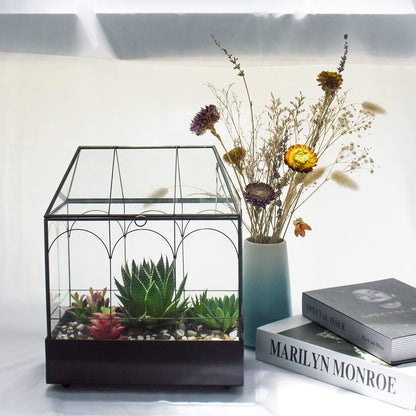 Large Tall Glass Plant Terrarium – House Succulent Terrarium Kit with Lip and Tray Glass Greenhouse Terrarium for Plant 9.5”X5.7”X11.4”