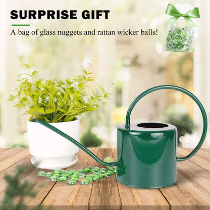 Lechloris Indoor Watering Can for Houseplants - Long Spout Metal Watering Can for Indoor Plants,Succulents or Outdoor Garden Flower, 1.3L / 40 oz Green