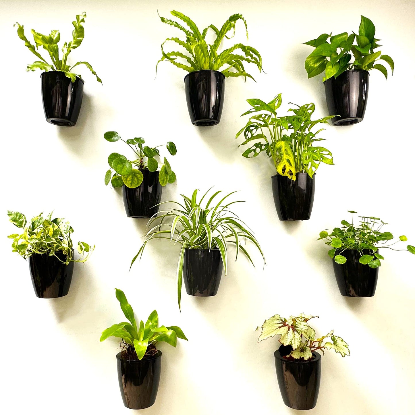 LalaGreen Bundle - 5" Pot + 35.4" Wooden Plant Holder, Black Self Watering Pot, Wooden Hanging Planters for Indoor Plants, Wall Mounted Plant Stand Ladder Outdoor Vertical Garden, Wall Hanging Pots