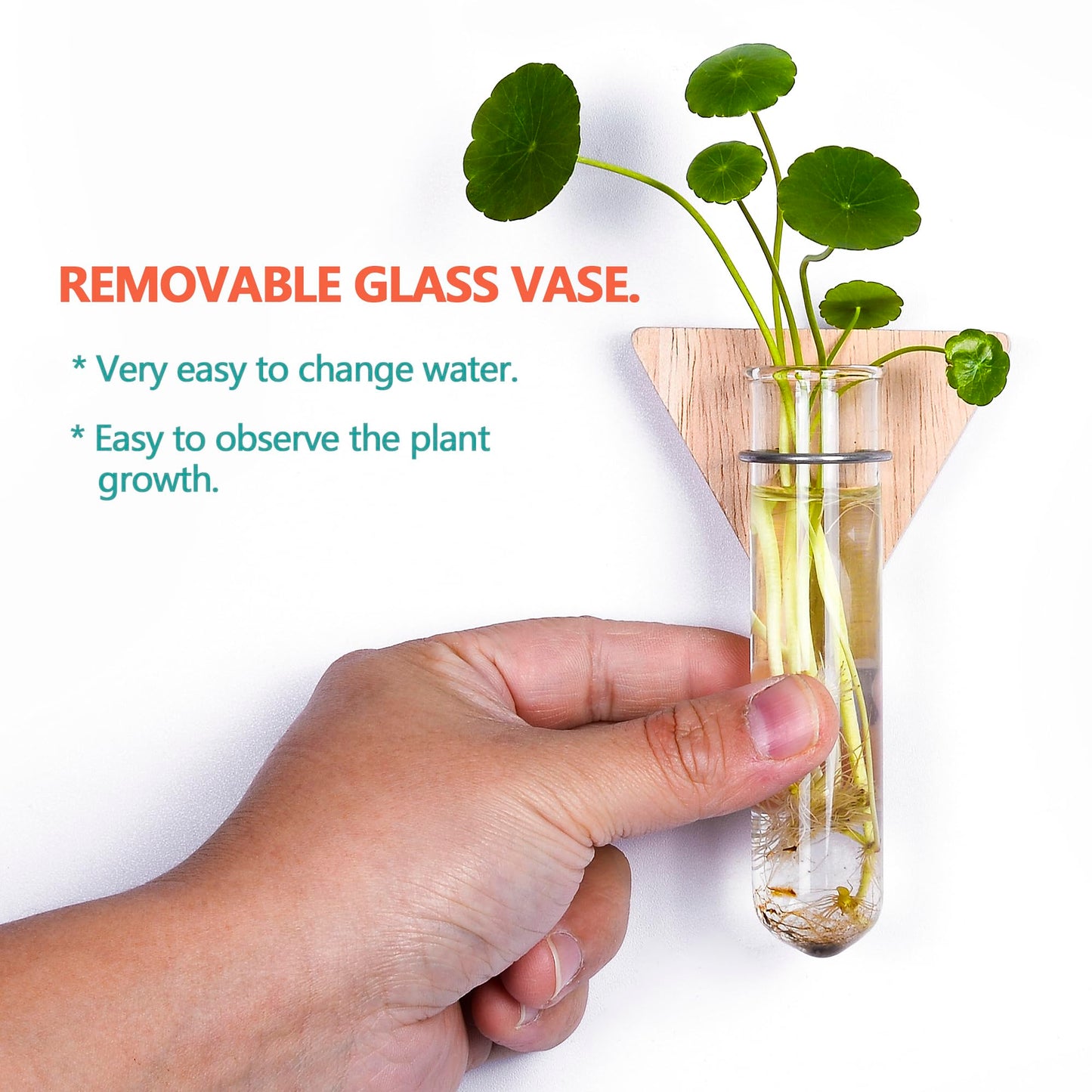 MITIME Wall Hanging Planter Glass Plant Propagation Station,Geometric Wooden Stand for Home Office Decoration.