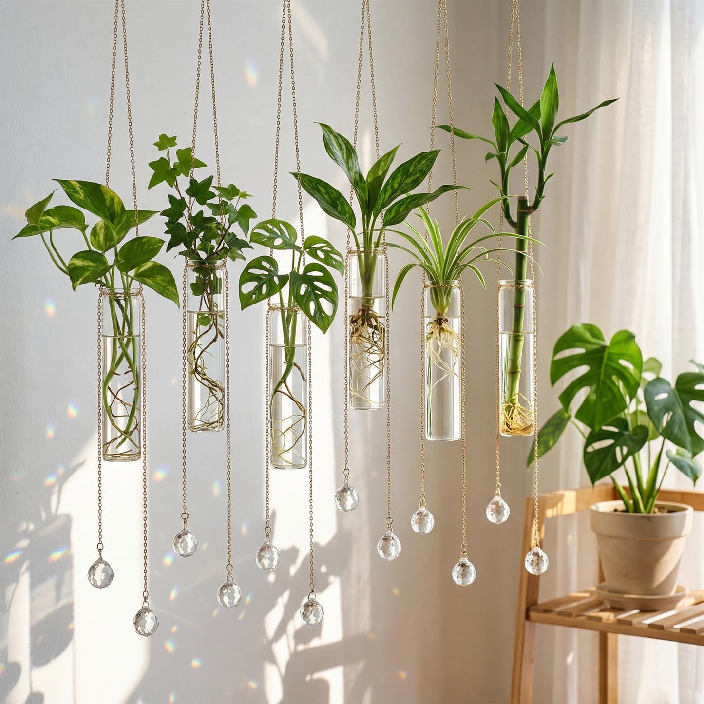 Hushee 6 Pcs Hanging Propagation Stations with Crystal Suncatcher Glass Hanging Wall Planters Indoor Plants Hydroponic Tubes for Plants Flowers Windows Home Decoration