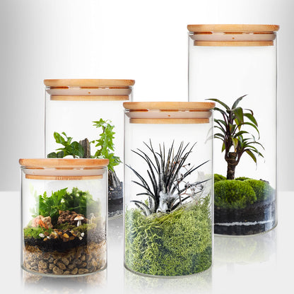 Glass Food Storage Containers Jars with Airtight Bamboo Lid 20 oz 9 pcs, 590 ml Pantry Organization Jar, Glass Terrarium with Lid, Spice, Flour and Sugar Container, Canister Set for Kitchen Counter