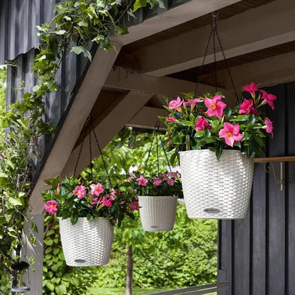 Hanging Basket Chain, Chain for Hanging Plants, 4 Pcs 9.5 Inch Hanging Chain, Hanging Plant Chain, Black Chain for Hanging Bird Feeders Planters Lanterns Baskets Billboards Wind Chimes Ornaments