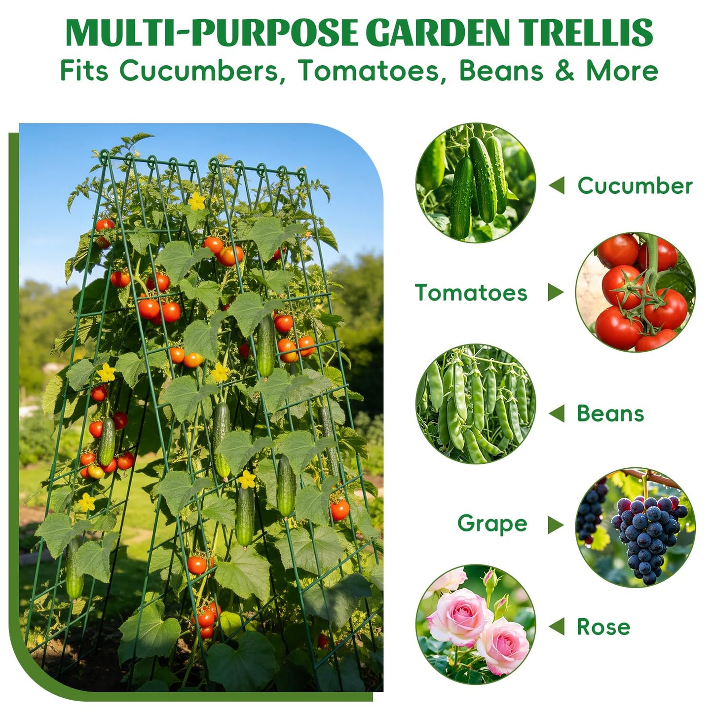 DOLEMODUO 2 Pack Cucumber Trellis, 60inch A-Frame Rustproof Steel Wire Garden Trellis for Raised Beds, Heavy Duty Climbing Plants Supports for Cucumber,Tomato, Climbing Plants and Flowers