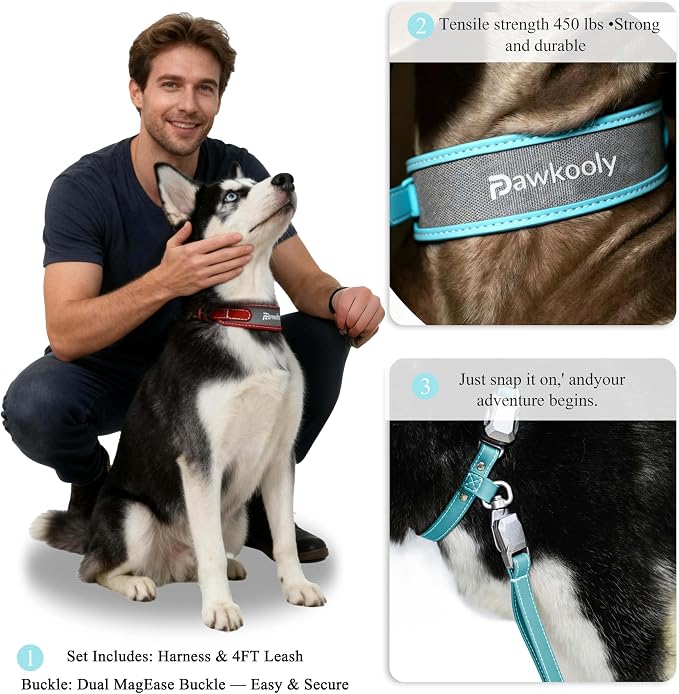 MagEase Dog Collar with 4FT Leash | Adjustable | Anti-Wrinkle, Bite & Stain-Resistant Leather | Soft & Skin-Friendly | 450LB Escape-Proof Magnetic Buckle (Light Blue, Medium)