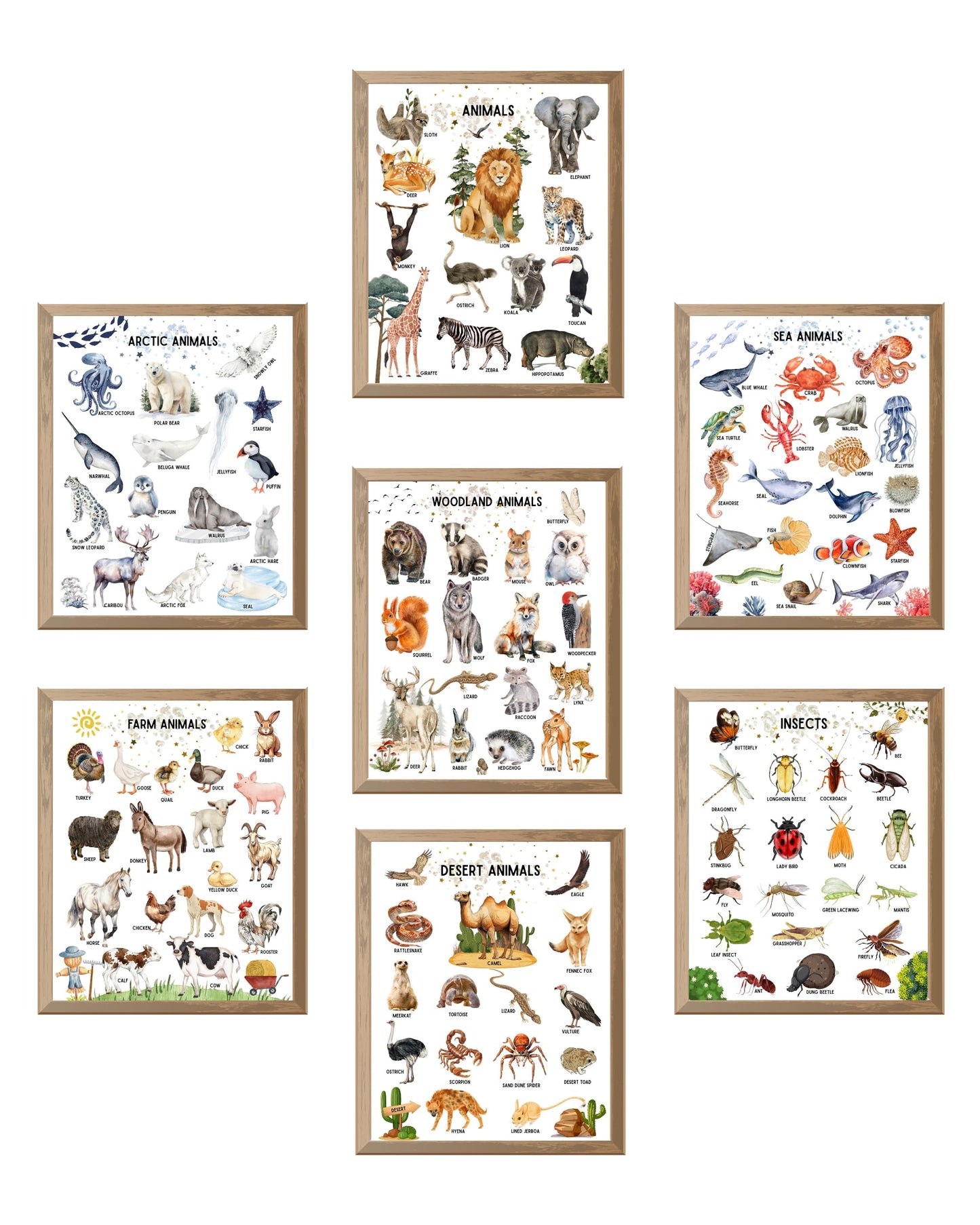 Educational Animal Poster, Preschool Wall Decor for Toddlers Set of 7 Unframed (8''x10'') Kindergarten School, Nursery,Farm, Sea, Desert, Woodland, Arctic Animals & Insects for Kids Room Decor