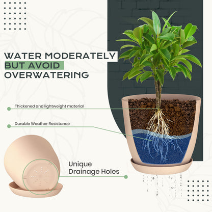 Utopia Home - Plant Pots Indoor with Drainage - 7/6.6/6/5.3/4.8 Inches Home Decor Flower Pots - Plastic Planters for Indoor Plants, Cactus, Succulents Pot (Pink, Pack of 10)
