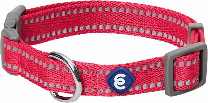 Blueberry Pet Essentials Reflective Dog Collar & Leash Set, Adjustable for Small Dogs | Safe Walking Gear for Pet Parents, Puppy Training & Daily Use SmallDogs, Very Berry