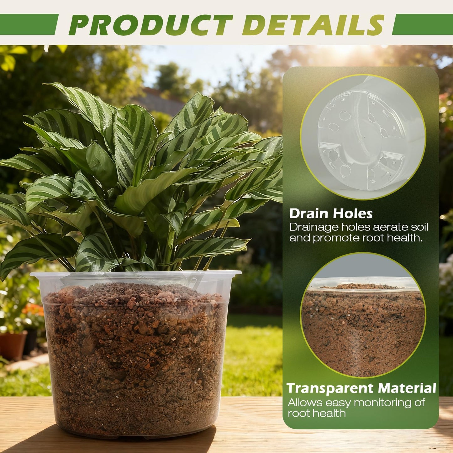 HKKZYT 4/6/8/10 Inch Large Size Clear Nursery Pots for Plants, 16 Pack Plastic Plant Pots with Drainage Holes, Durable Seedling Starter Pot for Succulents Flowers Herb Vegetables