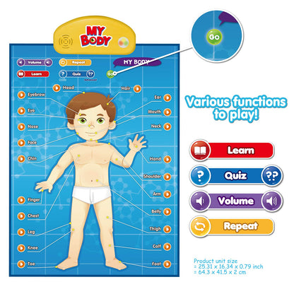 BEST LEARNING i-Poster My Body - Interactive Educational Human Anatomy Talking Toy for Kids Ages 5-12 to Learn Body Parts, Organs, Muscles and Bones Through Fun Sound and Quiz Modes